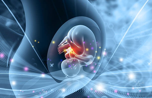 What Are the IVF Treatment Charges in Jodhpur?